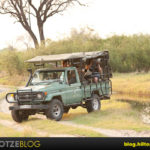 Do I need a PRDP to drive a game viewing vehicle in a nature reserve?