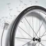 Double award for Continental tyres made from dandelion rubber