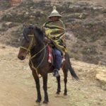 What are the Rules regarding horses being ridden/driven on tarred roads in South Africa?