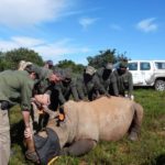 Goodyear Wranglers keep anti-poaching vehicles on track