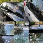 How Artificial Bird Poop Keeps Your Paintwork Safe in the Real World