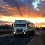 What colour are lights permitted to be used as top cab lights on a truck?