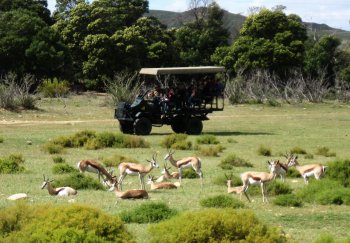 Photo of game drive at Fairy Glen